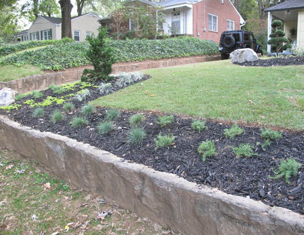 Lustron landscaping; Hinoki cypress; photo by finelycrafted.net